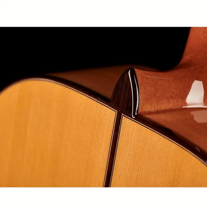 Alhambra 10 Fc Flamenco incl. Case