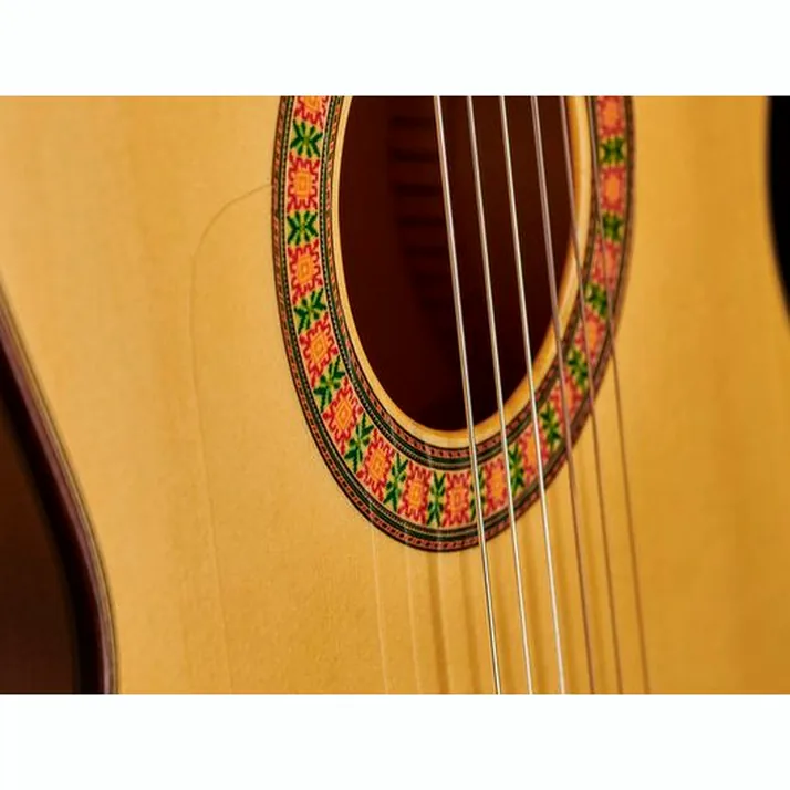 Alhambra 10 Fc Flamenco incl. Case