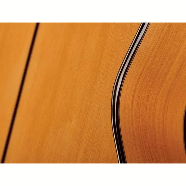 Alhambra 10 Fc Flamenco incl. Case