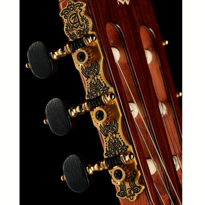 Alhambra 10 Fc Flamenco incl. Case