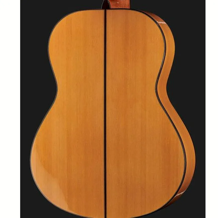 Alhambra 10 Fc Flamenco incl. Case