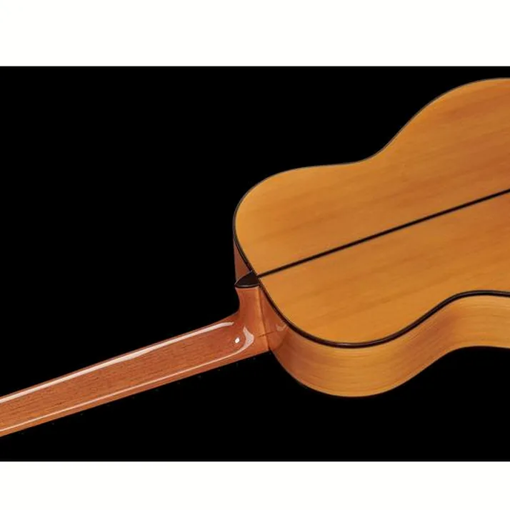 Alhambra 10 Fc Flamenco incl. Case