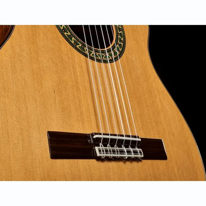Alhambra 5 P CW E8 w/Gig Bag