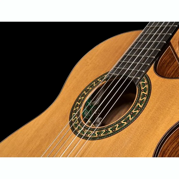 Alhambra 5 P CW E8 w/Gig Bag