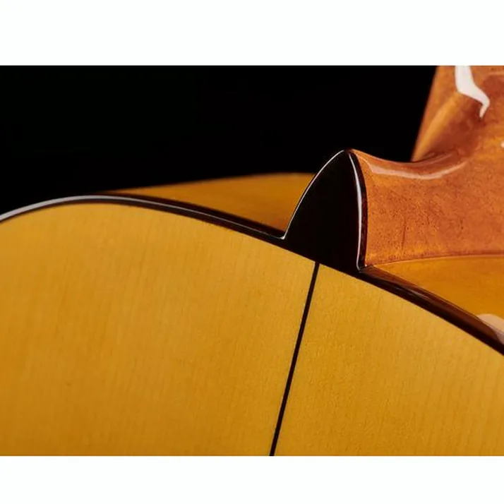 Alhambra 5F Flamenco incl. Gigbag