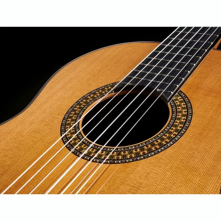 Alhambra 9P w/Case