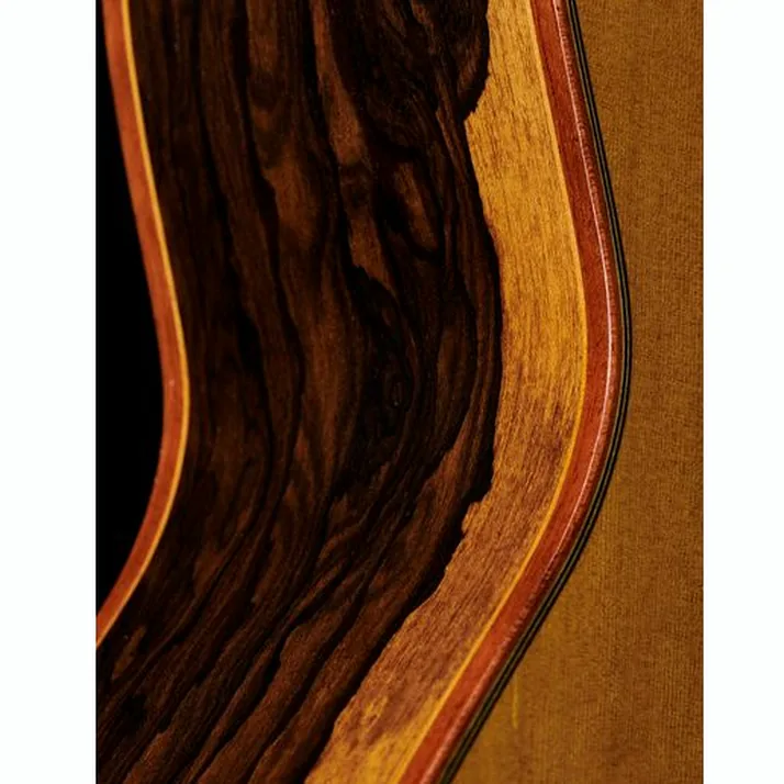 Alhambra Luthier Aniversario