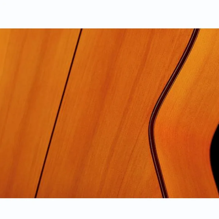 Amalio Burguet 2F Spruce Flamenco w/Case