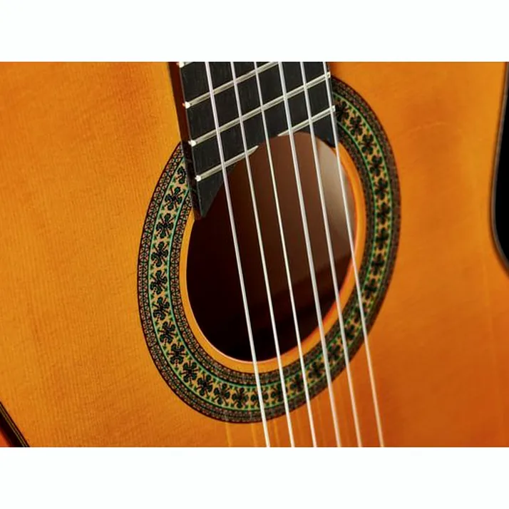 Amalio Burguet 2F Spruce Flamenco w/Case