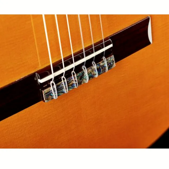 Amalio Burguet 2F Spruce Flamenco w/Case