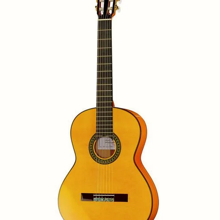 Amalio Burguet 2F Spruce Flamenco w/Case