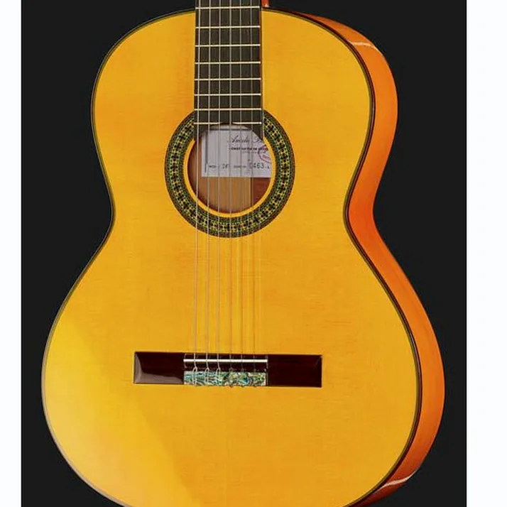 Amalio Burguet 2F Spruce Flamenco w/Case
