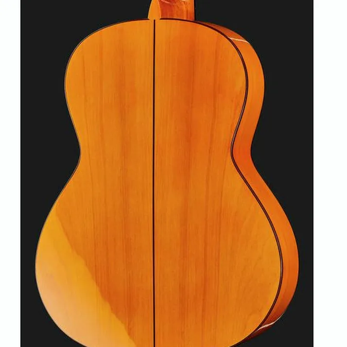 Amalio Burguet 2F Spruce Flamenco w/Case