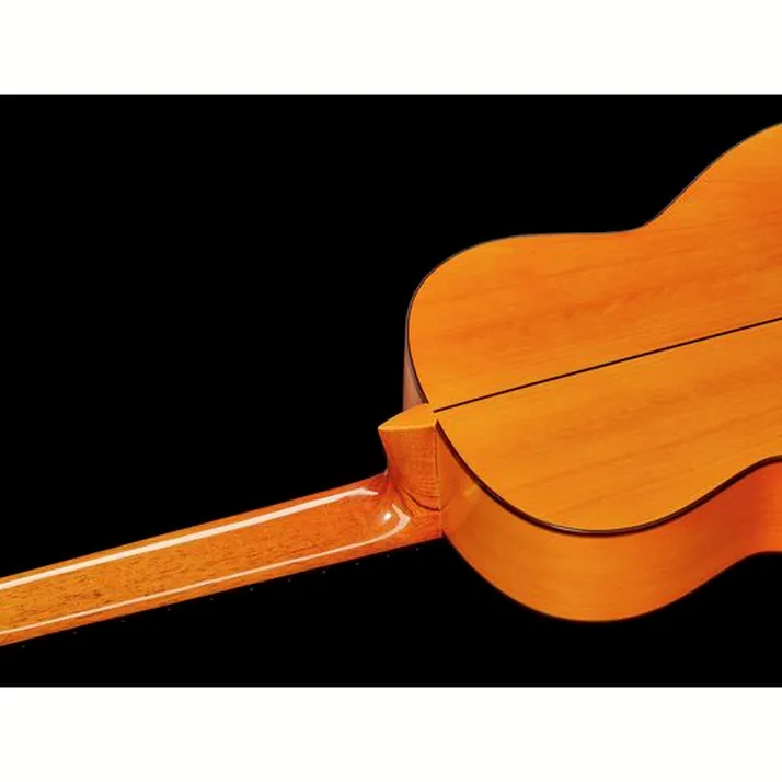Amalio Burguet 2F Spruce Flamenco w/Case