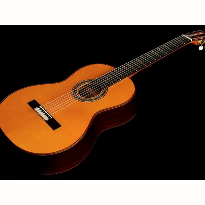 Amalio Burguet Fnegra DV Spruce Flamenco w/Ca