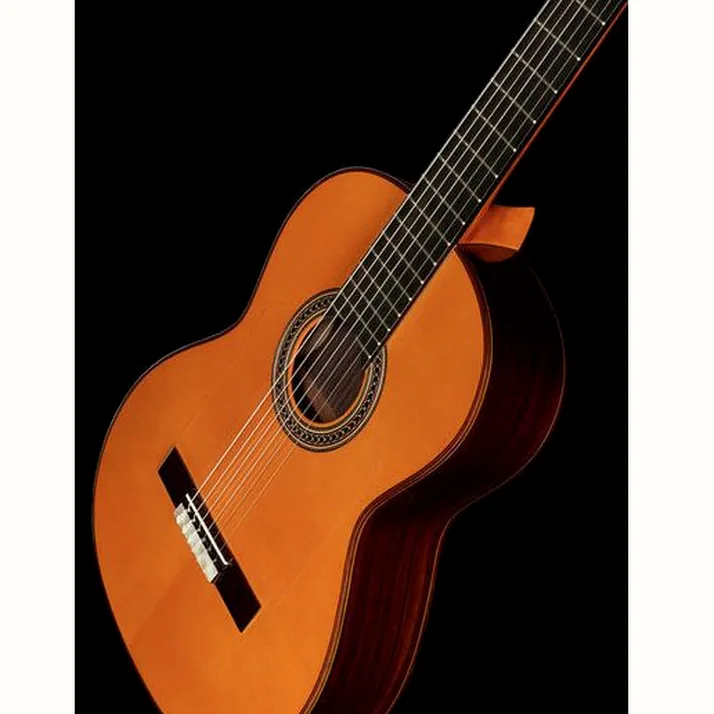Amalio Burguet Fnegra DV Spruce Flamenco w/Ca