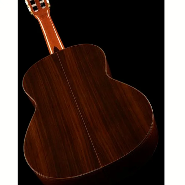 Amalio Burguet Fnegra DV Spruce Flamenco w/Ca
