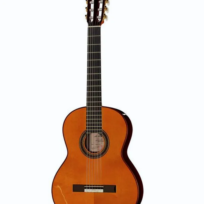 Amalio Burguet Fnegra DV Spruce Flamenco w/Ca