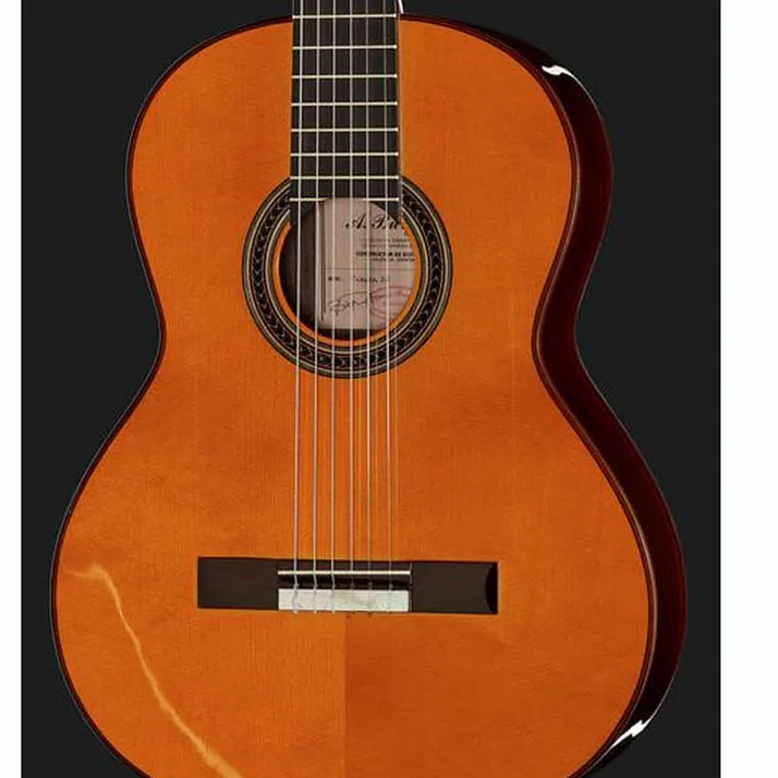 Amalio Burguet Fnegra DV Spruce Flamenco w/Ca