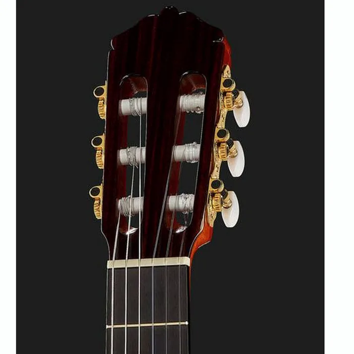 Amalio Burguet Fnegra DV Spruce Flamenco w/Ca