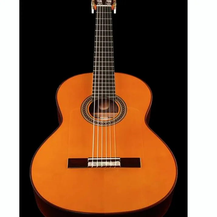 Amalio Burguet Fnegra DV Spruce Flamenco w/Ca