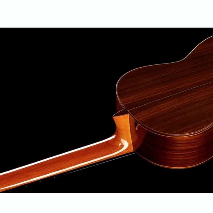Amalio Burguet Fnegra DV Spruce Flamenco w/Ca