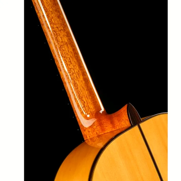 Cordoba F10 Flamenco
