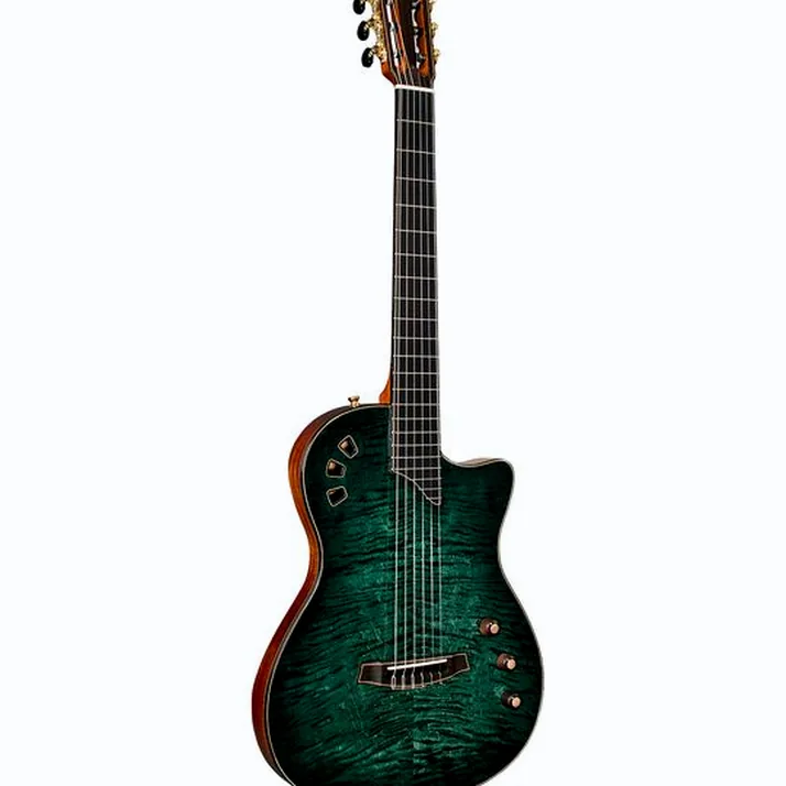 Cordoba Stage Artist Agave Burst