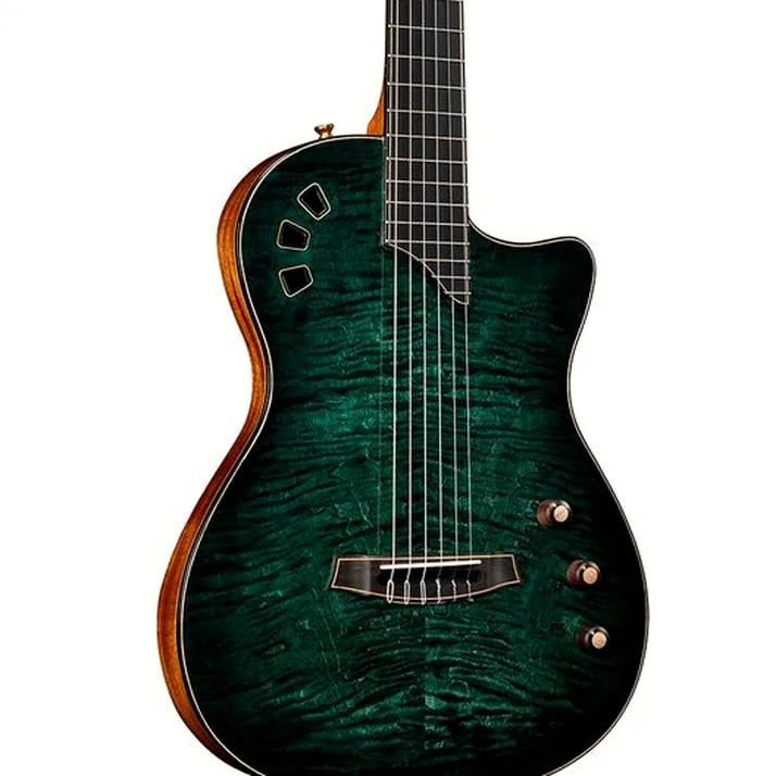 Cordoba Stage Artist Agave Burst