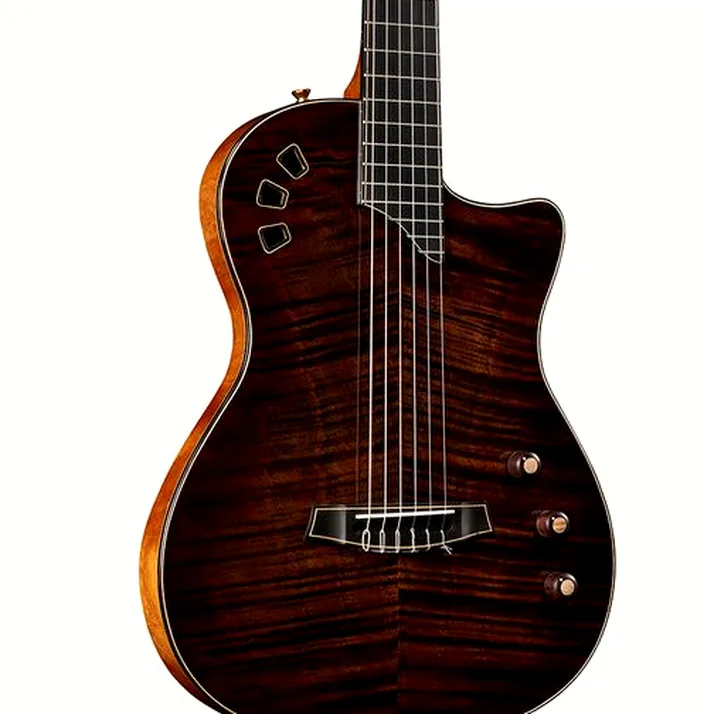 Cordoba Stage Artist Habano Burst
