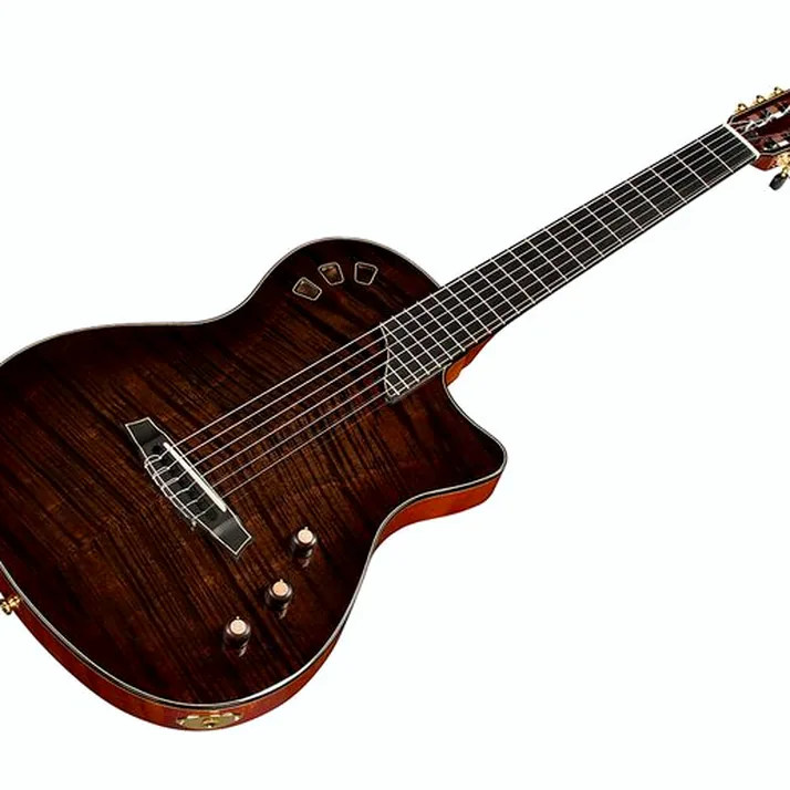 Cordoba Stage Artist Habano Burst