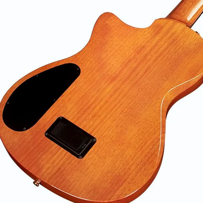 Cordoba Stage Guitar Traditional CD