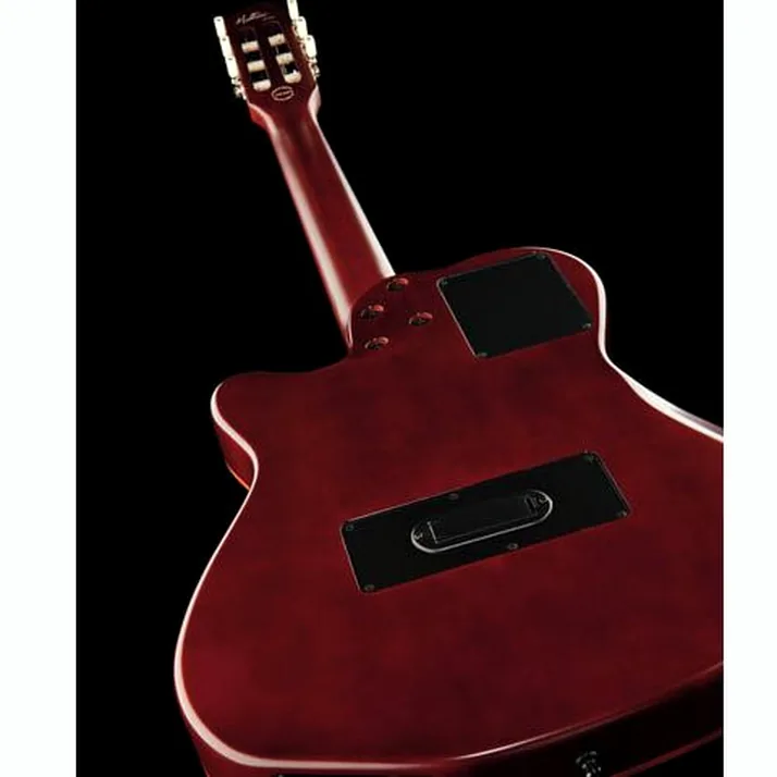 Godin ACS Nylon