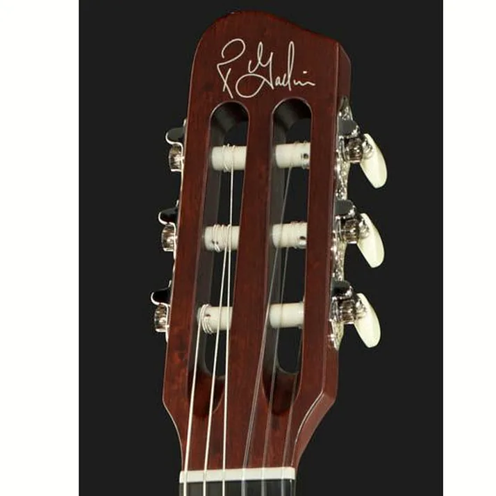 Godin ACS Nylon
