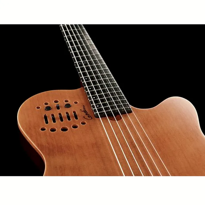 Godin ACS Nylon