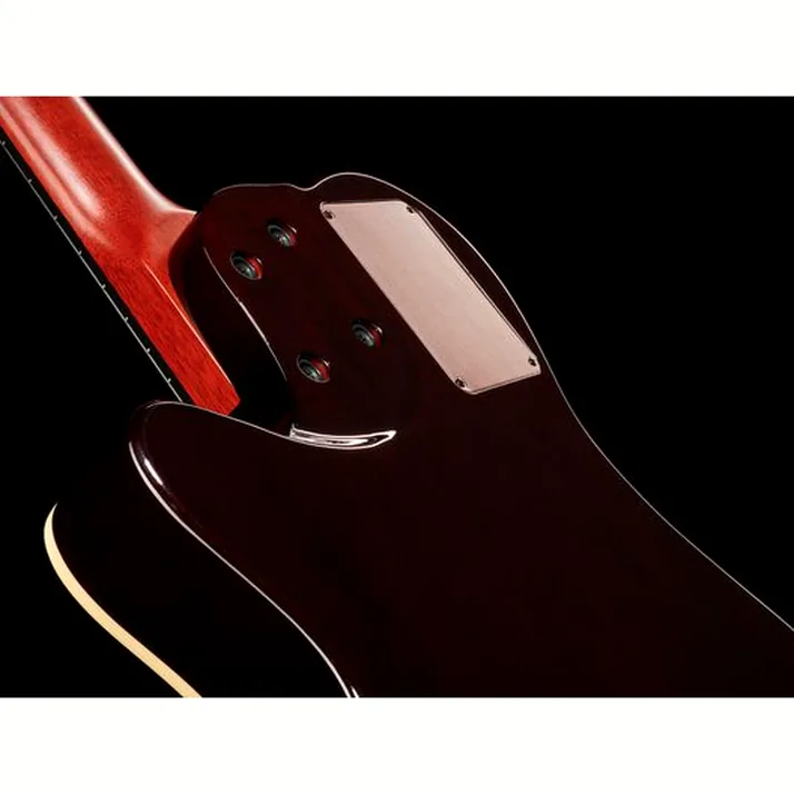 Godin Multiac Grand Concert Natur