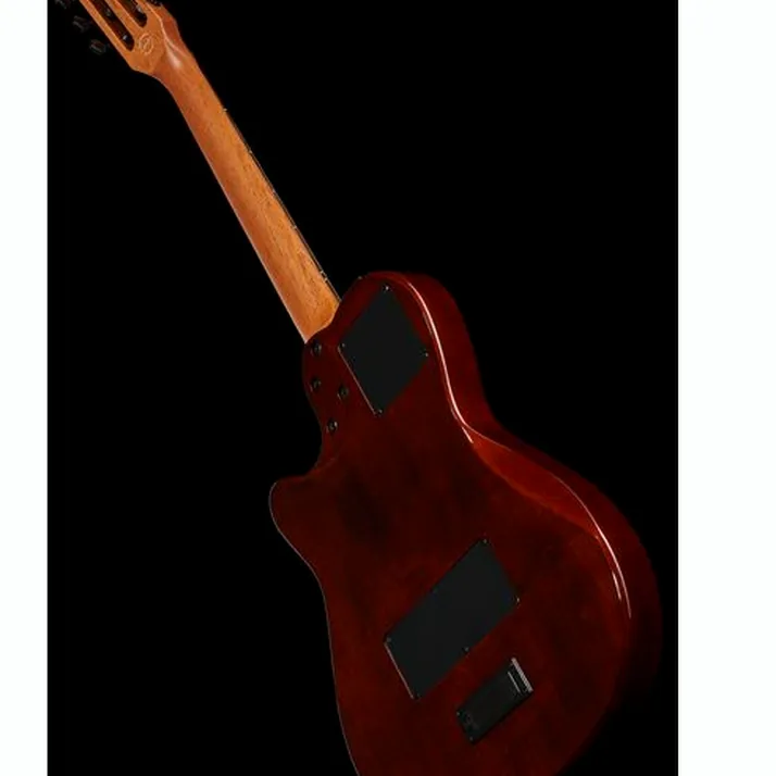 Godin Multiac Mundial Kanyon Burst