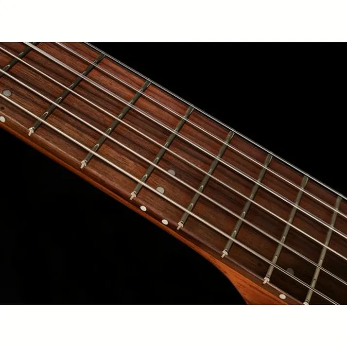 Godin Multiac Mundial Kanyon Burst
