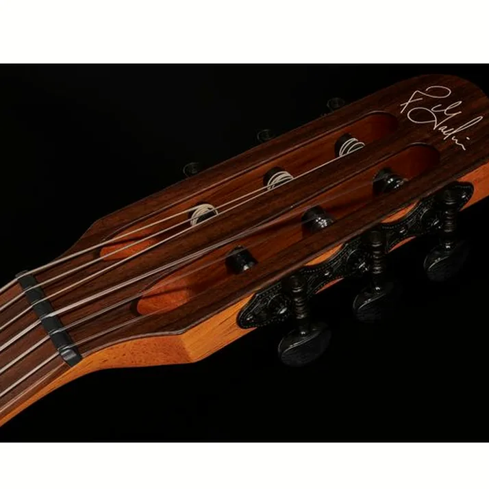 Godin Multiac Mundial Kanyon Burst