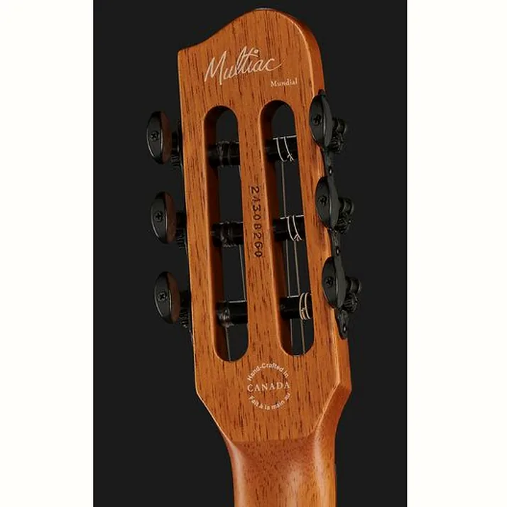 Godin Multiac Mundial Kanyon Burst