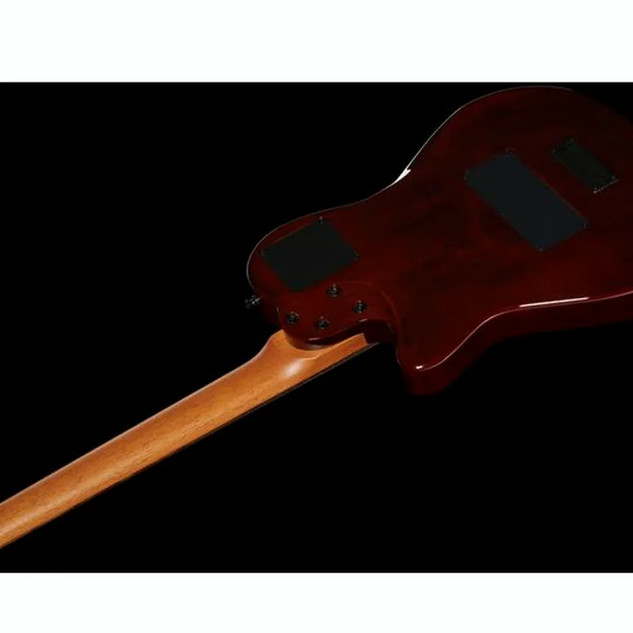 Godin Multiac Mundial Kanyon Burst