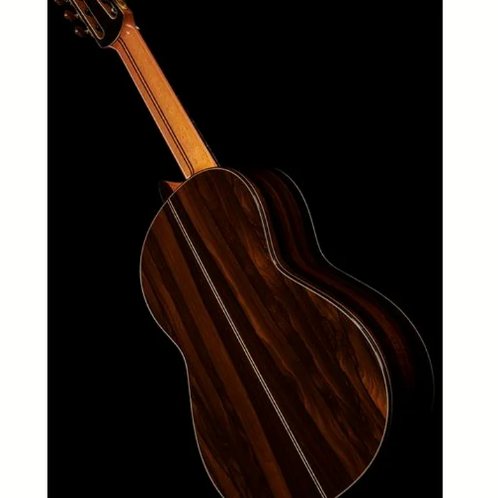 Hanika 7-Meister Concertguitar
