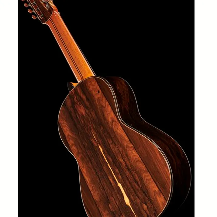 Hanika 8-Meister Concertguitar