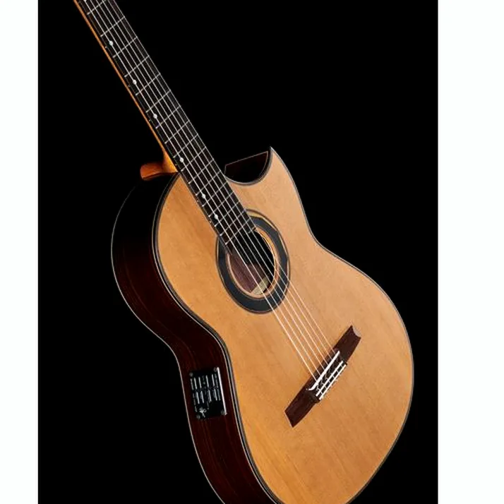 Hanika Fusion PC w/Pickup