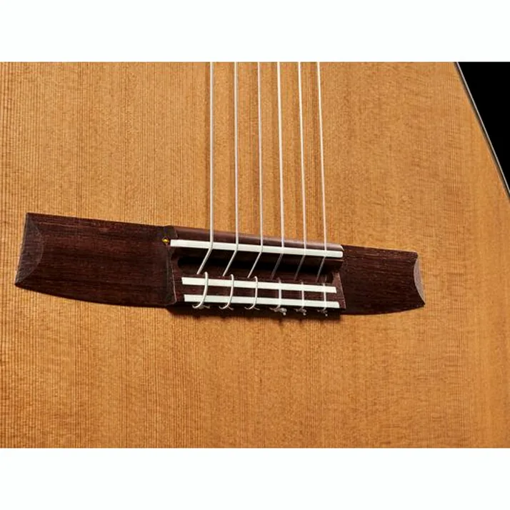 Hanika Fusion PC w/Pickup