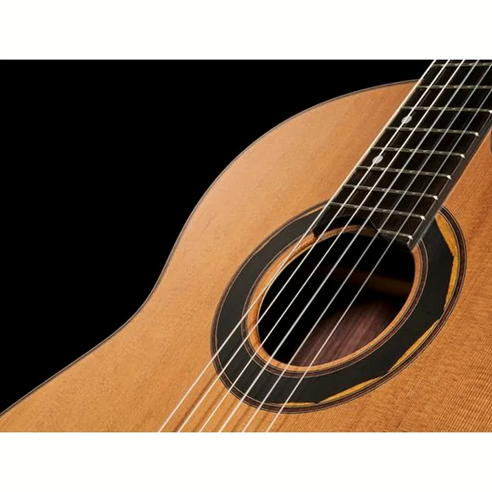 Hanika Fusion PC w/Pickup
