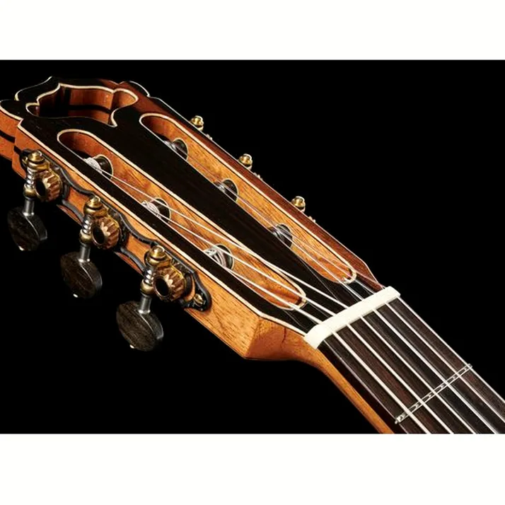 Hanika Fusion PC w/Pickup