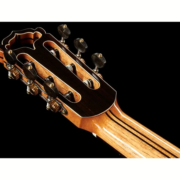 Hanika Fusion PC w/Pickup
