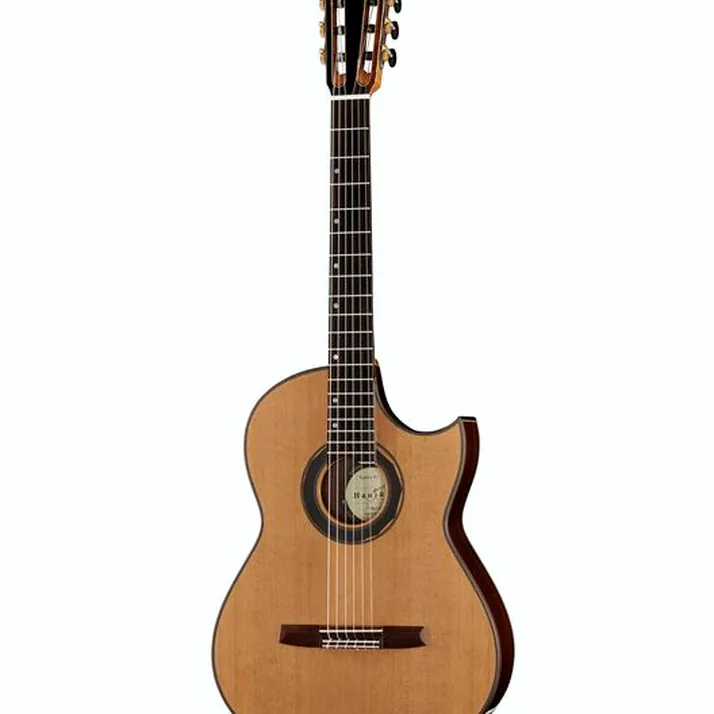 Hanika Fusion PC w/Pickup