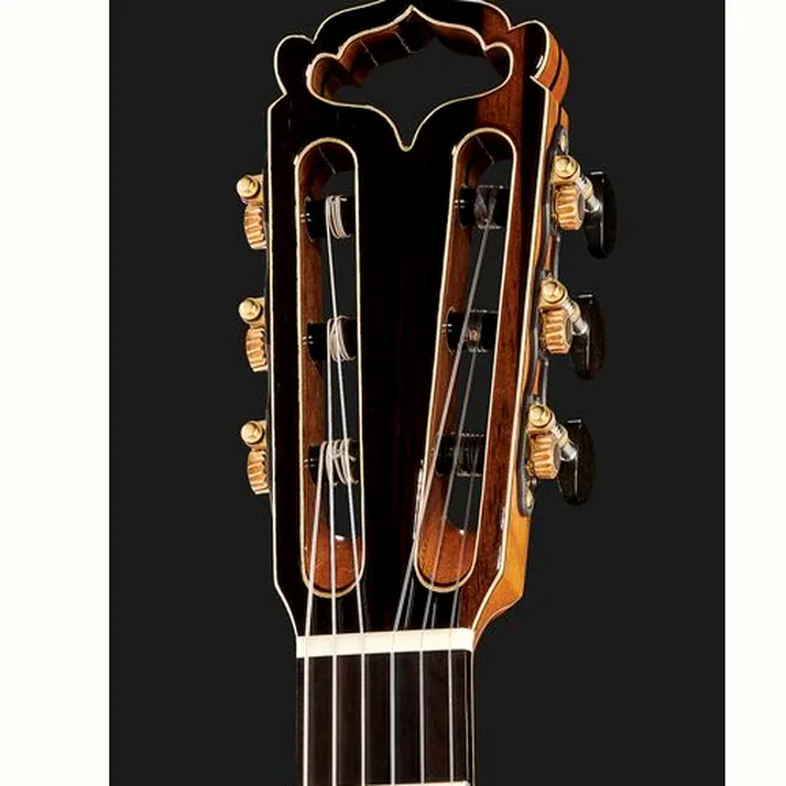 Hanika Fusion PC w/Pickup